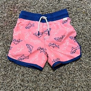 Toddler boy swim trunks